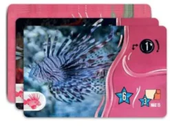 Aquaria (deutsch)