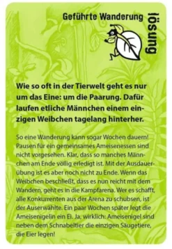 black stories junior - Tierisch wild!