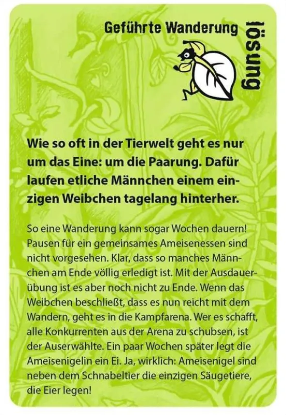 black stories junior - Tierisch wild!
