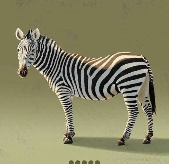 Blitz Zebra Astronaut