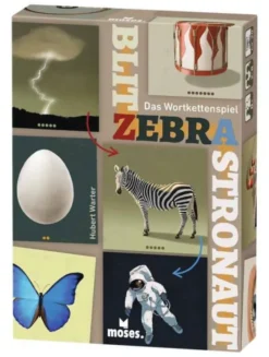 Blitz Zebra Astronaut