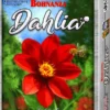 Bohnanza - Dahlia
