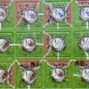 Carcassonne 2. Ed.: Die Wachtürme (Mini-Erw.)