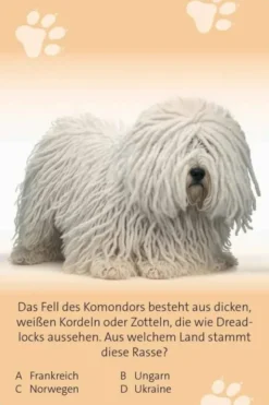 Das große Hunde Quiz