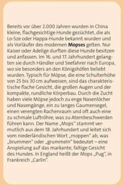 Das große Hunde Quiz