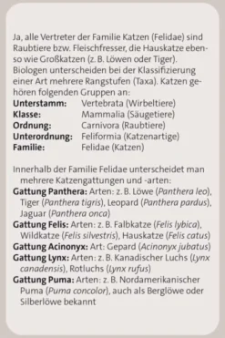 Das große Katzen Quiz