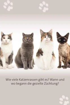 Das große Katzen Quiz
