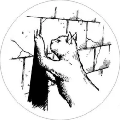 Die Ratten im Gemäuer