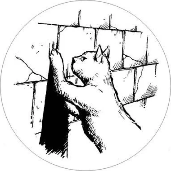 Die Ratten im Gemäuer