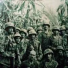 Fields of Fire 2 (engl.)