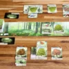Forest Shuffle (engl.)