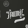 Frantic - Pandora's Box (Erw.) (deutsch)