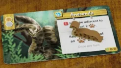 Life of the Amazonia (engl.)