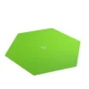 Magnetic Dice Tray Hexagonal Black&Green