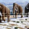 Neanderthal/Greenland Folding Board (Exp.) (engl.)