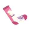 Oh my socks