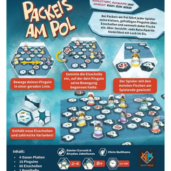 Packeis am Pol