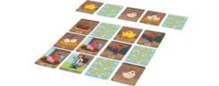 Pick a Chicken