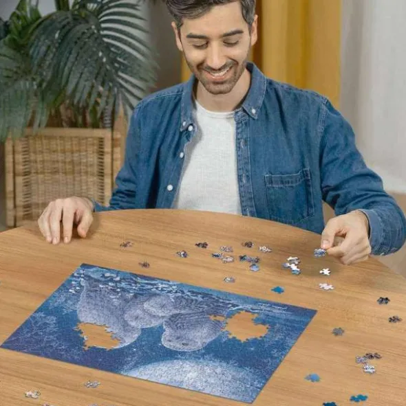 Puzzle: Eulen im Mondschein (500 Teile)