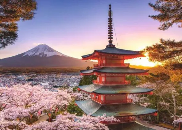 Puzzle: Kirschblüte in Japan (1000 Teile)