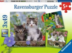 Puzzle: Süße Samtpfötchen (3x49 Teile)