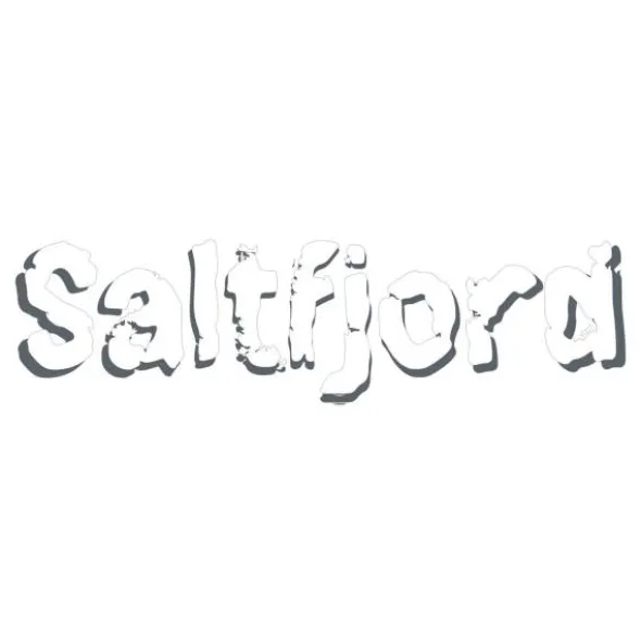 Saltfjord